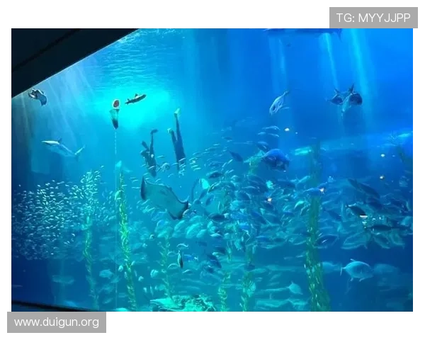 济州岛娱乐景点大全：必访的热门娱乐场所与特色体验